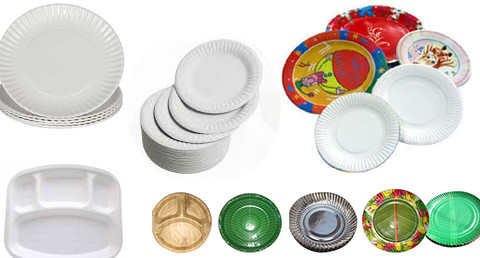 Paper Plate Manufacturing Business